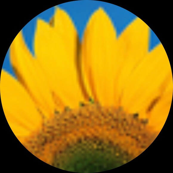kph9275